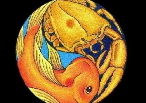 Рыбы мужчины и женщины Рак (совместимость)