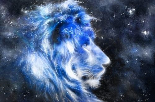 10 фактов о Львах!